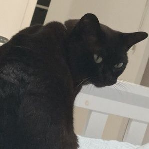 Meet your Posher, Lexi